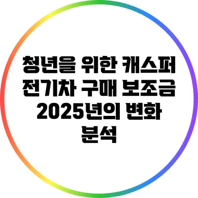 청년을 위한 캐스퍼 전기차 구매 보조금 2025년의 변화 분석