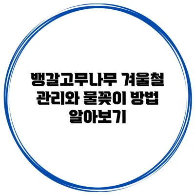 뱅갈고무나무 겨울철 관리와 물꽂이 방법 알아보기