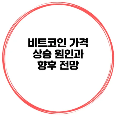 비트코인 가격 상승 원인과 향후 전망