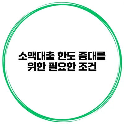 소액대출 한도 증대를 위한 필요한 조건