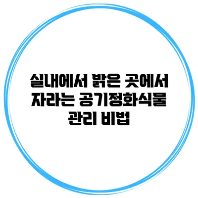 실내에서 밝은 곳에서 자라는 공기정화식물 관리 비법