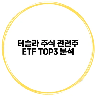 테슬라 주식 관련주 ETF TOP3 분석