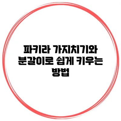 파키라 가지치기와 분갈이로 쉽게 키우는 방법