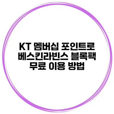KT 멤버십 포인트로 베스킨라빈스 블록팩 무료 이용 방법