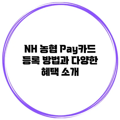 NH 농협 Pay카드 등록 방법과 다양한 혜택 소개