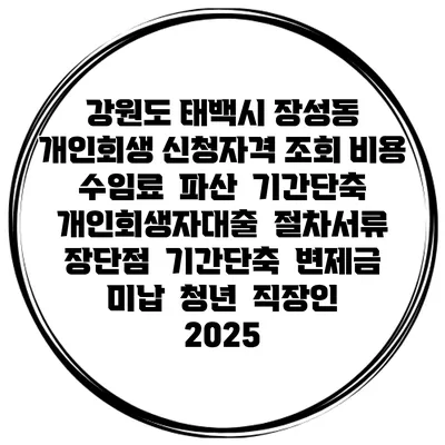 강원도 태백시 장성동 개인회생 신청자격 조회 비용 수임료 | 파산 | 기간단축 | 개인회생자대출 | 절차서류 | 장단점 | 기간단축 | 변제금 미납 | 청년 | 직장인 2025