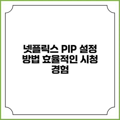 넷플릭스 PIP 설정 방법 효율적인 시청 경험