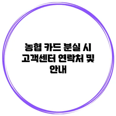 농협 카드 분실 시 고객센터 연락처 및 안내