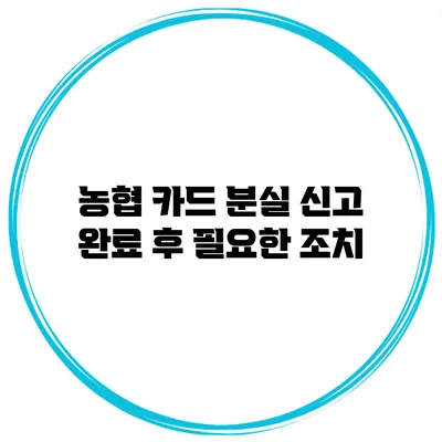 농협 카드 분실 신고 완료 후 필요한 조치