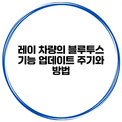 레이 차량의 블루투스 기능 업데이트 주기와 방법