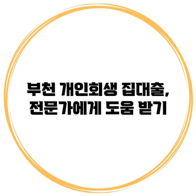 부천 개인회생 집대출, 전문가에게 도움 받기