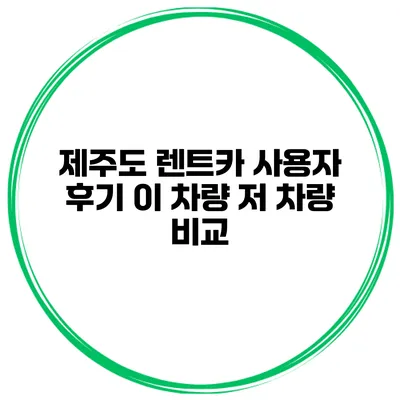 제주도 렌트카 사용자 후기 이 차량 저 차량 비교
