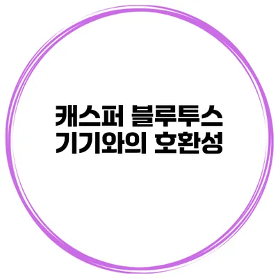 캐스퍼 블루투스 기기와의 호환성